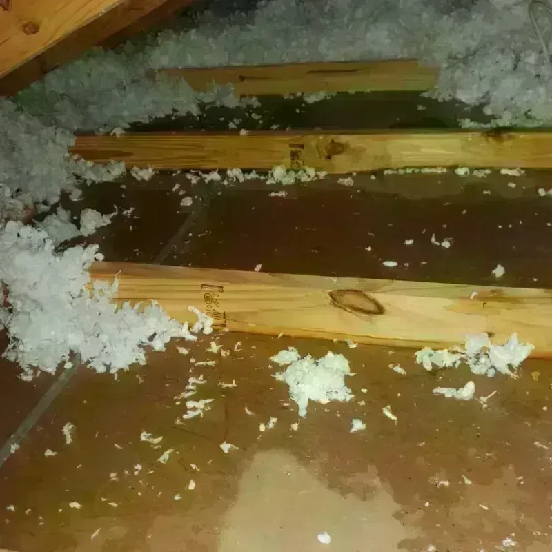 Attic Water Damage in Spring City, UT