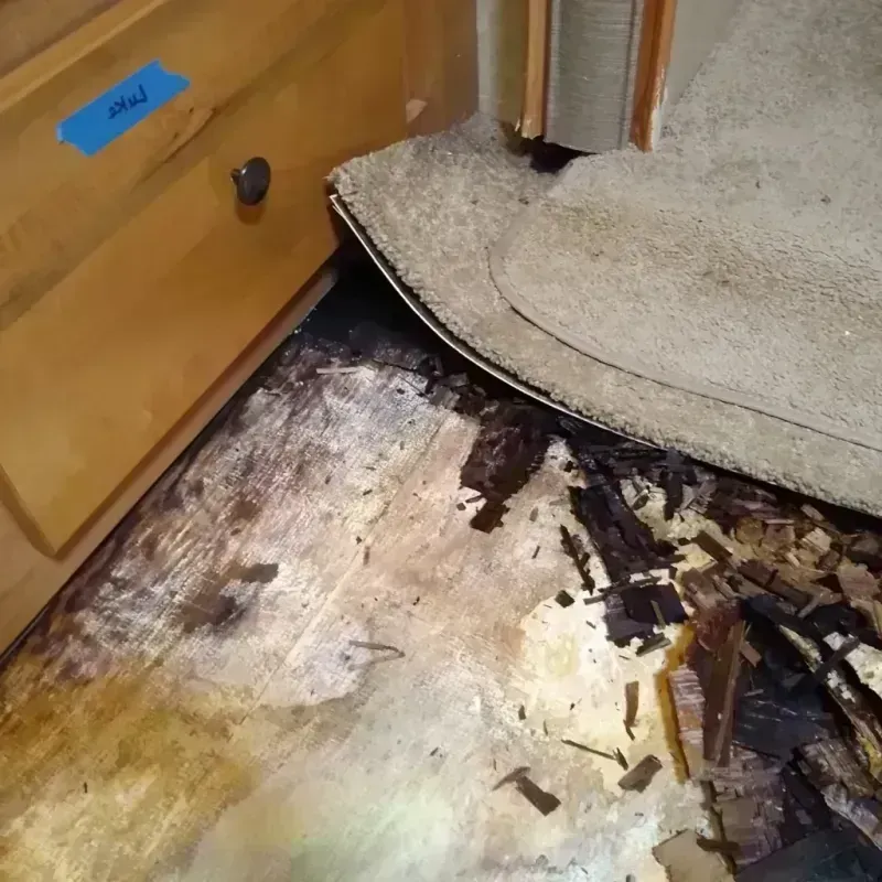 Best Wood Floor Water Damage Service in Spring City, UT